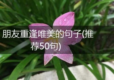 朋友重逢唯美的句子(推荐50句)