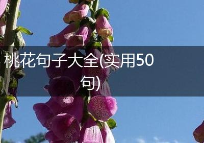 桃花句子大全(实用50句)