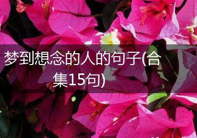 梦到想念的人的句子(合集15句)