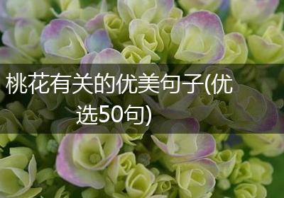 桃花有关的优美句子(优选50句)
