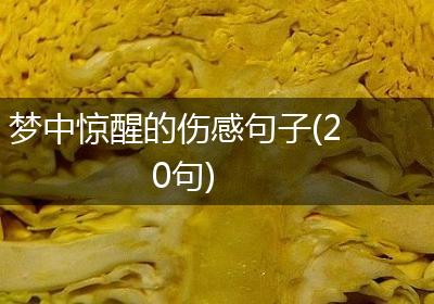 梦中惊醒的伤感句子(20句)
