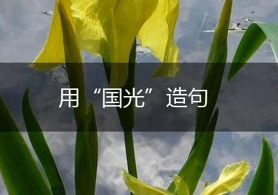 用“国光”造句