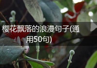 樱花飘落的浪漫句子(通用50句)