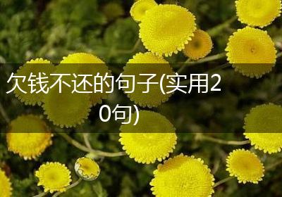 欠钱不还的句子(实用20句)