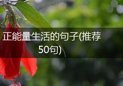 正能量生活的句子(推荐50句)