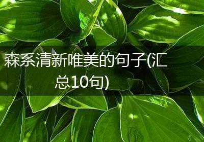 森系清新唯美的句子(汇总10句)