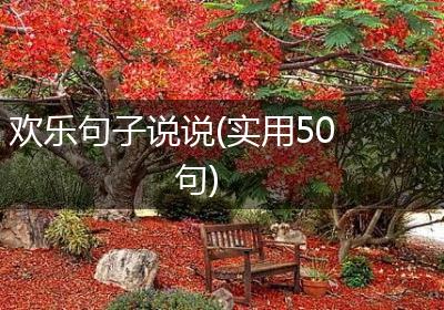 欢乐句子说说(实用50句)