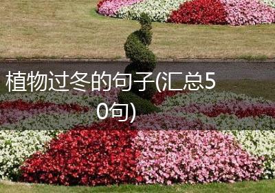 植物过冬的句子(汇总50句)
