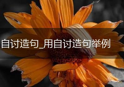 自讨造句_用自讨造句举例