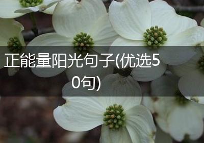 正能量阳光句子(优选50句)