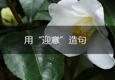 用“迎意”造句