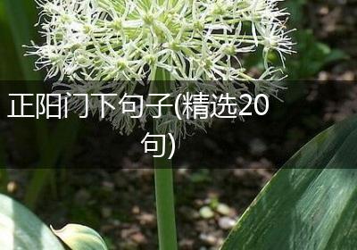正阳门下句子(精选20句)