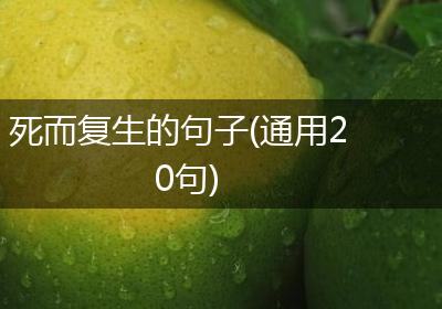 死而复生的句子(通用20句)