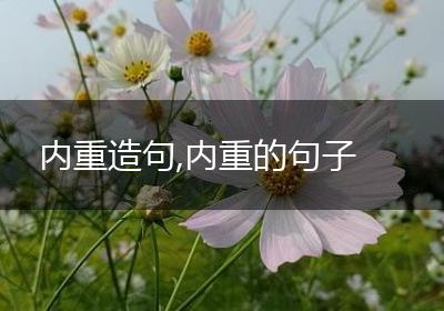 内重造句,内重的句子