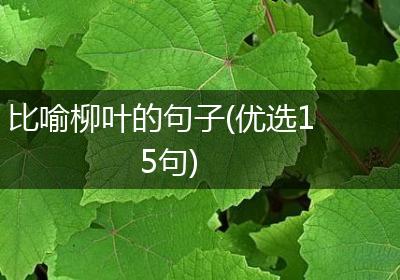 比喻柳叶的句子(优选15句)