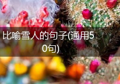 比喻雪人的句子(通用50句)
