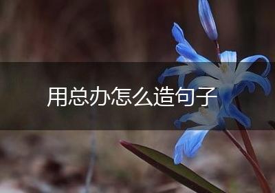 用总办怎么造句子