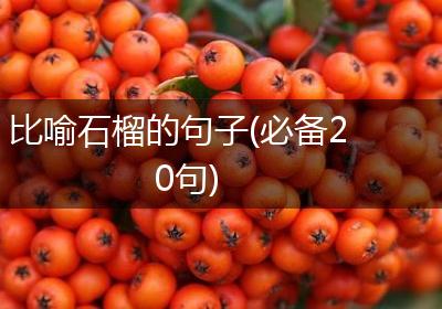 比喻石榴的句子(必备20句)