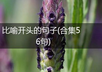 比喻开头的句子(合集56句)