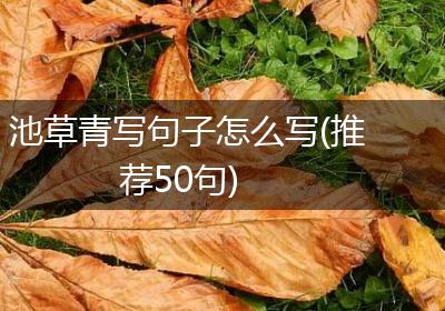 池草青写句子怎么写(推荐50句)