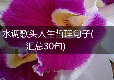 水调歌头人生哲理句子(汇总30句)