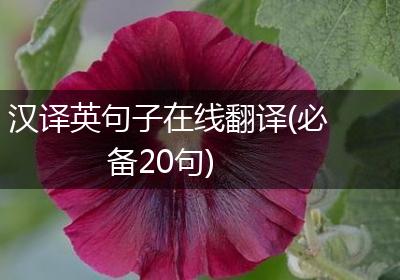 汉译英句子在线翻译(必备20句)