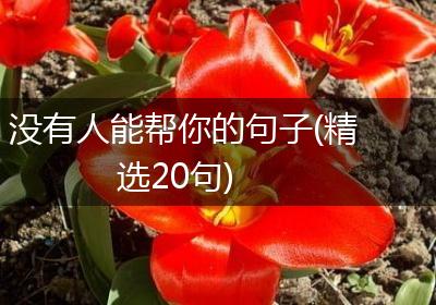 没有人能帮你的句子(精选20句)