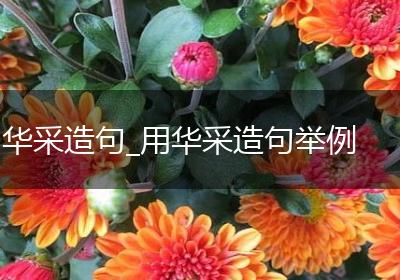 华采造句_用华采造句举例