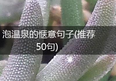 泡温泉的惬意句子(推荐50句)
