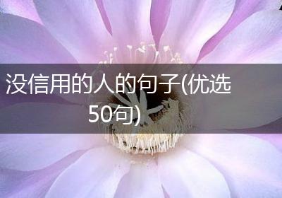 没信用的人的句子(优选50句)