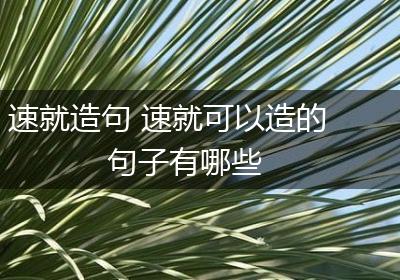 速就造句 速就可以造的句子有哪些