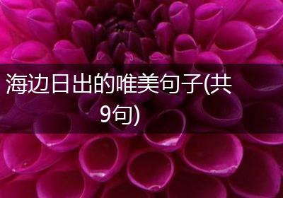 海边日出的唯美句子(共9句)