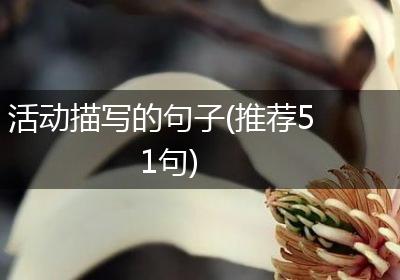 活动描写的句子(推荐51句)