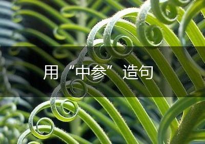 用“中参”造句
