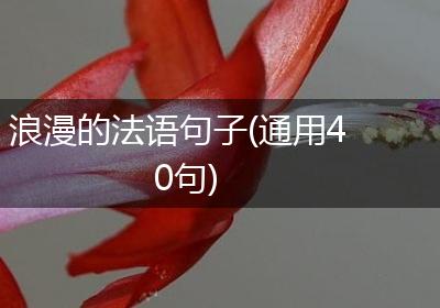 浪漫的法语句子(通用40句)