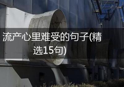 流产心里难受的句子(精选15句)