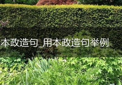 本政造句_用本政造句举例