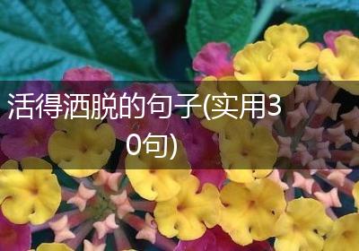 活得洒脱的句子(实用30句)