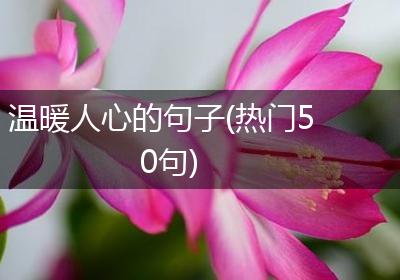 温暖人心的句子(热门50句)