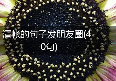 清帐的句子发朋友圈(40句)