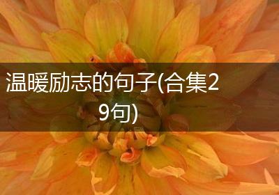 温暖励志的句子(合集29句)