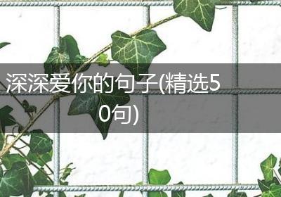 深深爱你的句子(精选50句)