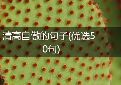 清高自傲的句子(优选50句)