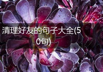 清理好友的句子大全(50句)