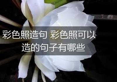 彩色照造句 彩色照可以造的句子有哪些