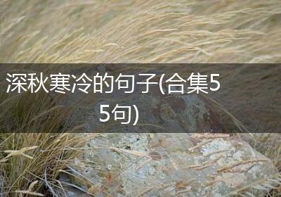 深秋寒冷的句子(合集55句)