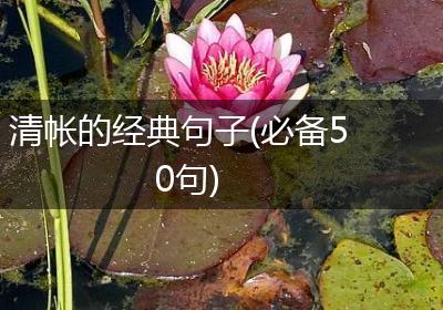 清帐的经典句子(必备50句)