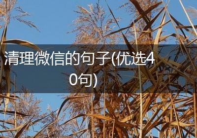 清理微信的句子(优选40句)