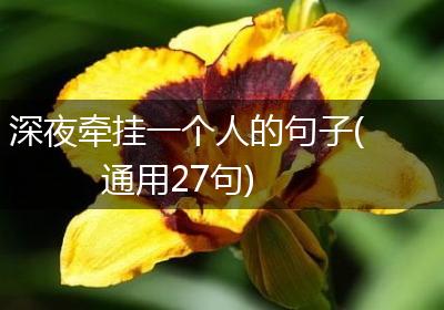 深夜牵挂一个人的句子(通用27句)
