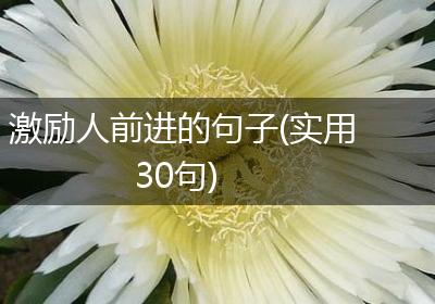 激励人前进的句子(实用30句)